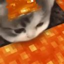 Miezecraft ☝🐱