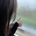 /sadx