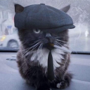Meowfia