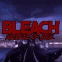 Bleach: Resolve Of Soul