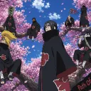 The Path Of Shinobi