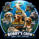 bobby's hangout /xxxxxxx