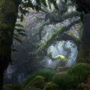 ˚⊹🍃ଓ The Forest‧₊˚⤾