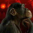 chimp's jungle