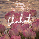 Chahat | • Socialize • Chill • Events • Gaming • Giveaways • pfp • fun