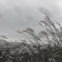 静けさ 🤍