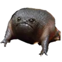 Revenge of the very angry frog