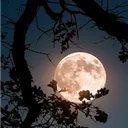 🌙・𝓜𝓸𝓸𝓷𝓵𝓲𝓽 𝓜𝓪𝓷𝓸𝓻