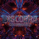 BIGCOBRA community