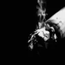 cig