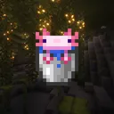 Axolotl Cove SMP