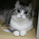 Царство Общения