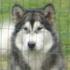 husky s palace