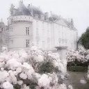 angels manor . ,