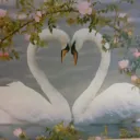 𐂯 ｡ Swan    Lake ⌓⌓