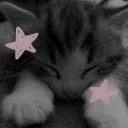 Velvet paws /ᐠ > ˕ <マ ₊˚⊹♡