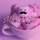 ✧ ﹒ 𝓂𝑒𝓁𝓁𝑜𝓌 ﹒ 🩰