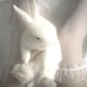 ᴛʜᴇ ᴍᴇᴀᴅᴏᴡ  ݁ ˖Ი𐑼⋆