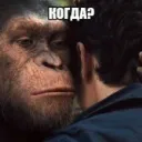 Когда хвх?