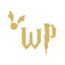 Server Wizardico