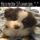 Looking aa