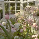 The Hidden Garden