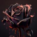 8 2 0 /Dark Rose
