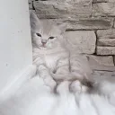 luminous