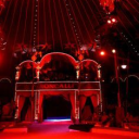 - ̥۪͙۪˚┊❛ The Circus ❜┊˚ ̥۪͙۪◌