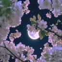 ☾⋆~moonglow hangout~⋆☽