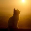 WHEN THE SUN RISES ; A1 ; a guiding light.