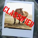 Classified server icon