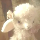 𓂃✿𓈒𓏸  ᗪᖇEᗩᗰY  𓂃✿𓈒𓏸