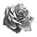 ゛  ᛝ    𝕴𝗡𝗦𝗧𝗜𝗧𝗨𝓣𝓔   𝓓𝙄   𝓥𝗜𝐑𝗧𝙐́   𓂃   ❪ ᵗʰᵉ  ʰᵒⁿᵒᵘʳˢ ❫
