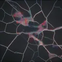 Dispersed Timelines