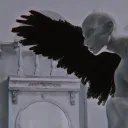 ⤷ ゛𝒃𝒍𝒂𝒄𝒌 𝒔𝒘𝒂𝒏  ˎˊ˗