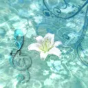 Oceania 🌊
