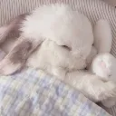 ⋆˚ℬ𝓁ℴ𝓈𝓈ℴ𝓂 ✿˖°