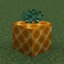 MyPineapple discord icon