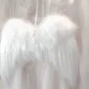 𝓼𝓾𝓰𝓪𝓻 • 𝓫𝓮𝓵𝓵𝓼 🪽