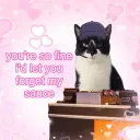 Transfem for Transmasc :3