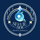 𓂃 ࣪˖ ִֶָ☾. Seelie Hub | Piloting Services