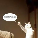 토론장