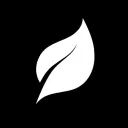 Native Vulns