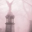 𝓟𝓲𝓷𝓴𝓗𝓪𝔃𝓮 ⋆.ೃ࿔*:･