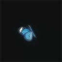 Morpho - hangout and chill