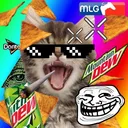 Scene Paradise discord icon