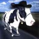 SKATEBOARDING COW