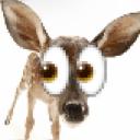 ⋆ ◜THE HERD．🦌