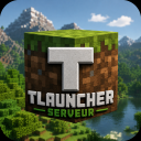 Minecraft tlauncher serveur icon